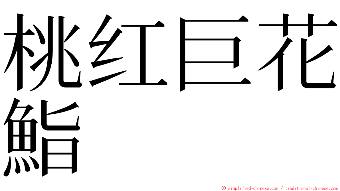 桃红巨花鮨 ming font