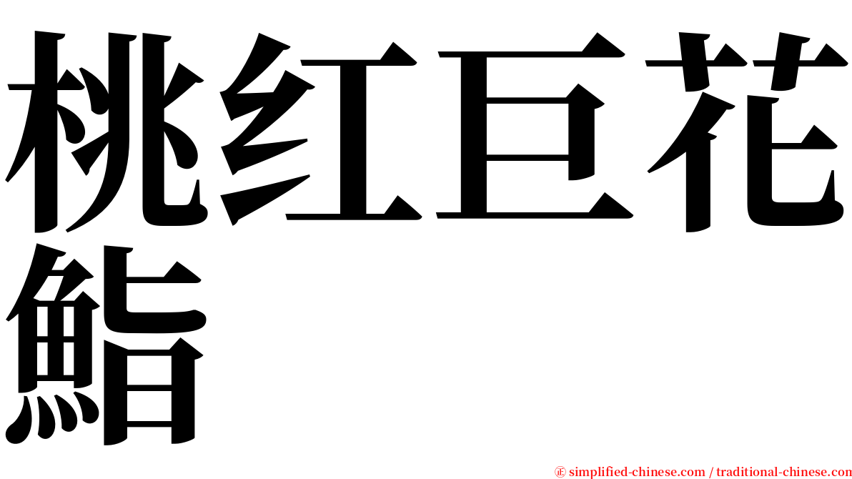 桃红巨花鮨 serif font