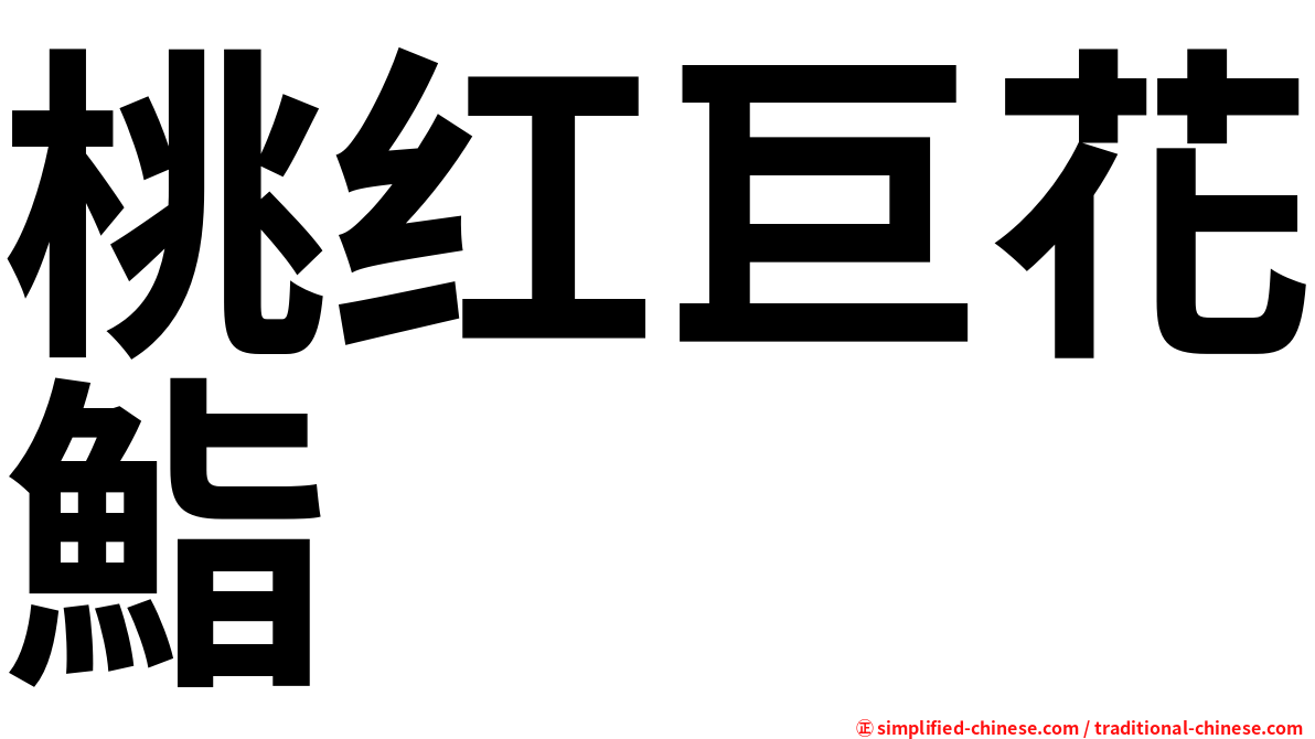 桃红巨花鮨