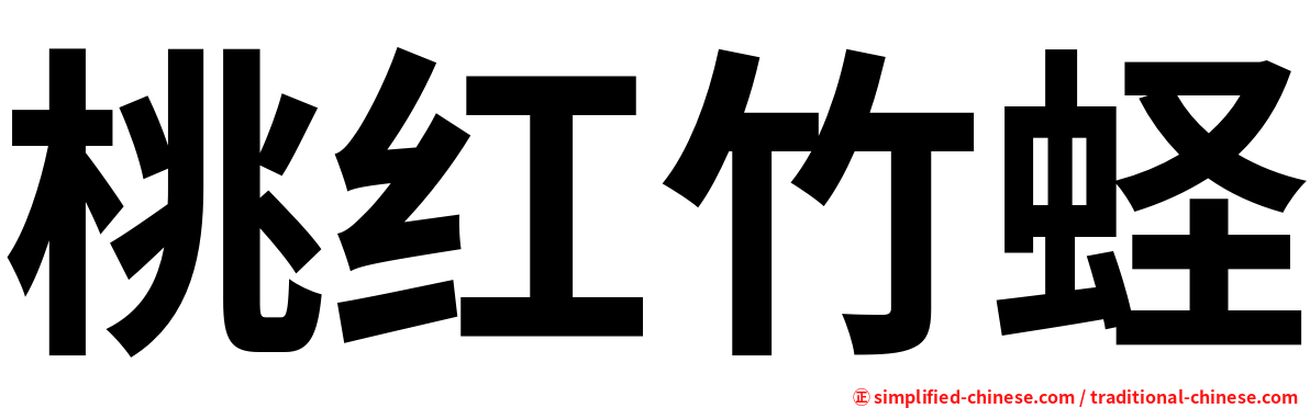 桃红竹蛏