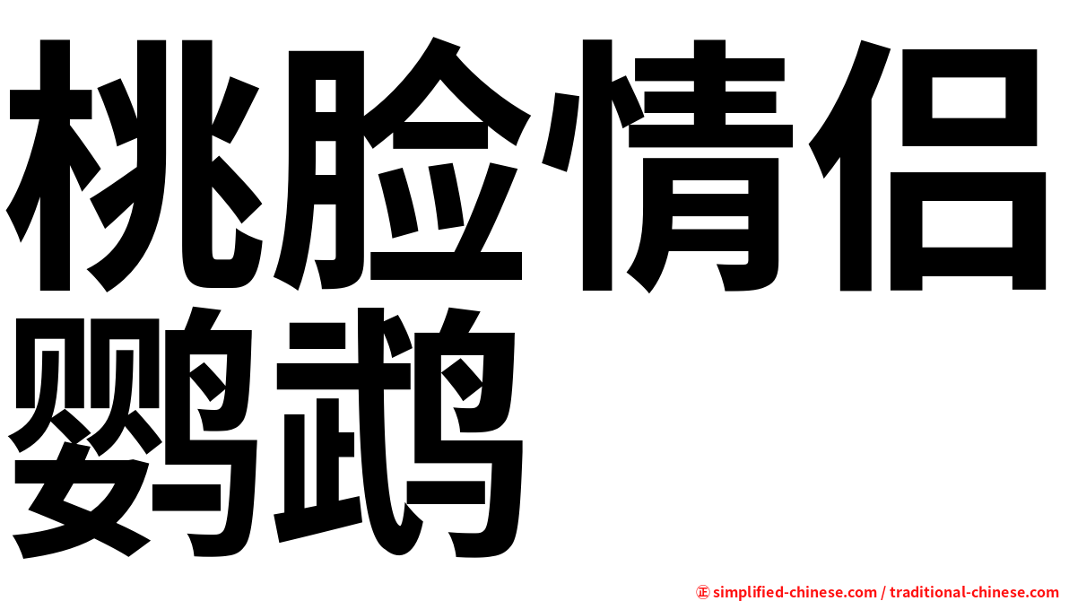桃脸情侣鹦鹉