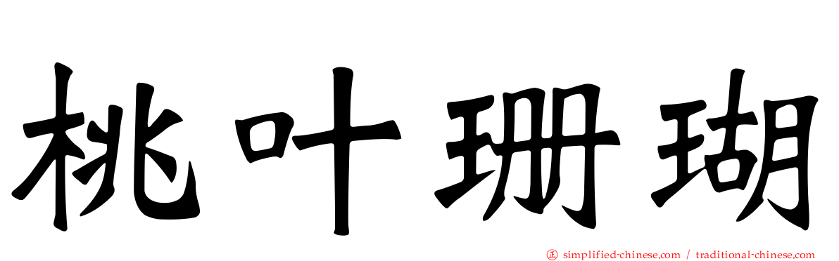 桃叶珊瑚