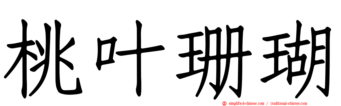 桃叶珊瑚