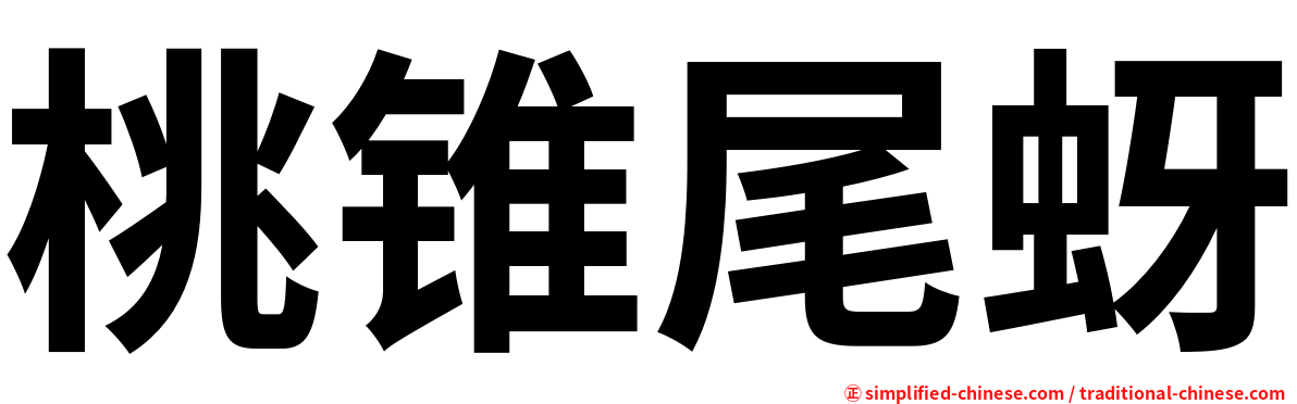 桃锥尾蚜