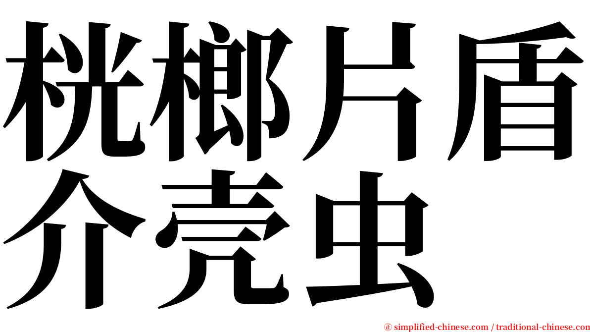 桄榔片盾介壳虫 serif font