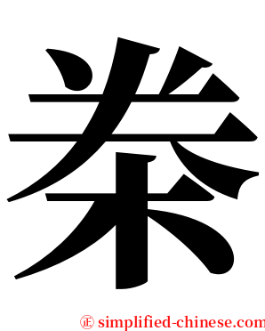 桊 serif font