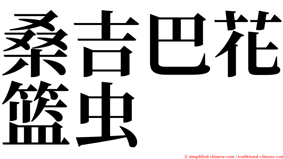 桑吉巴花篮虫 serif font