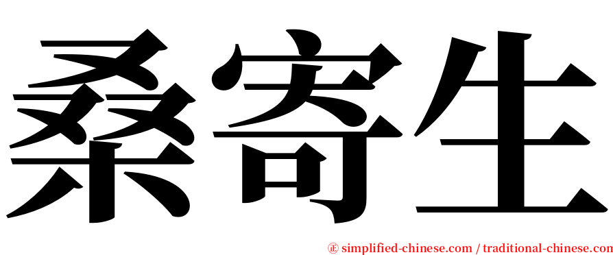 桑寄生 serif font