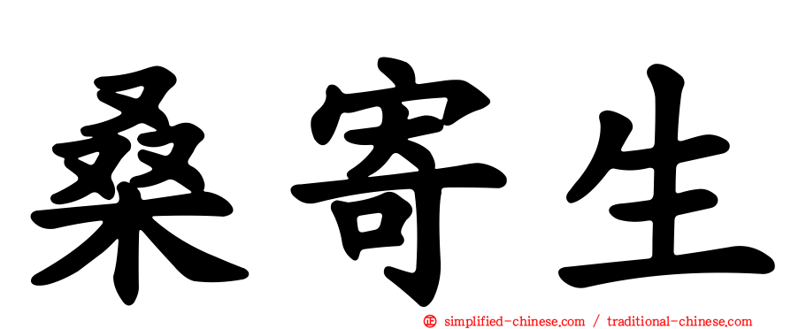 桑寄生