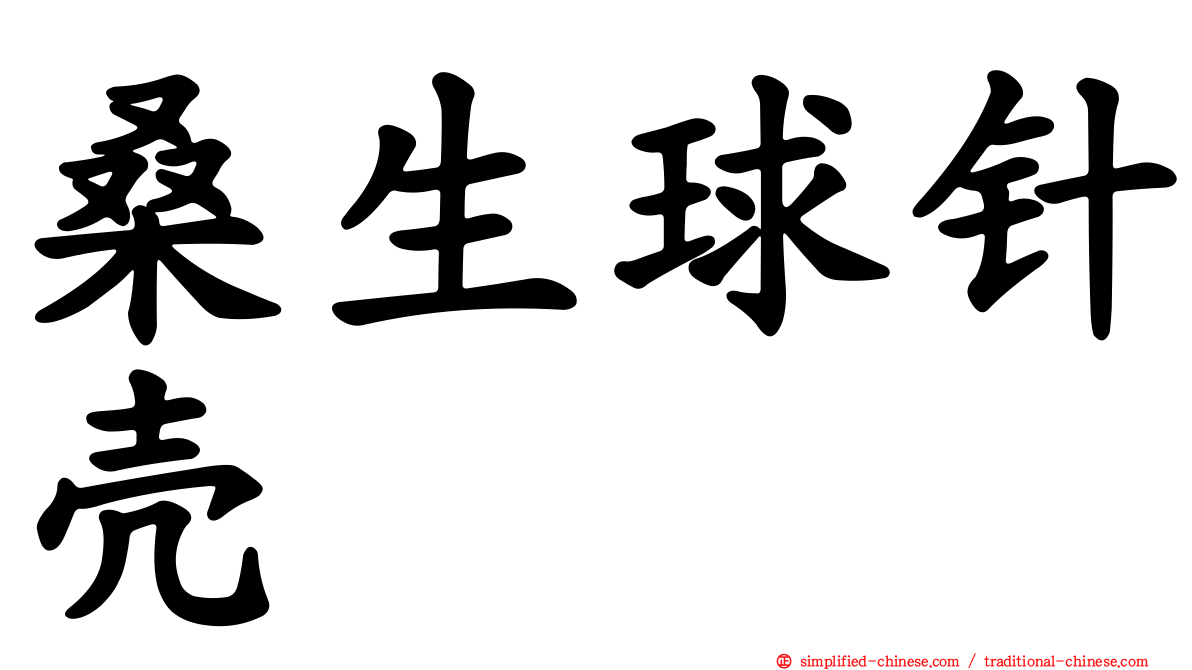 桑生球针壳