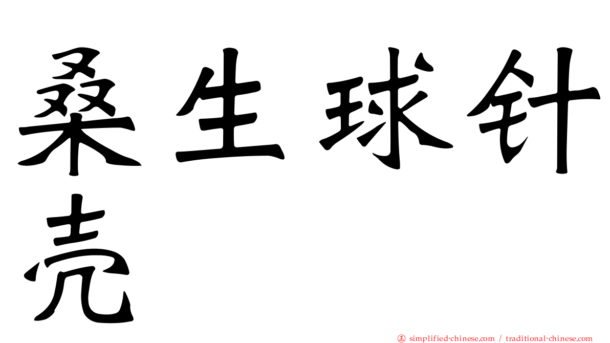 桑生球针壳