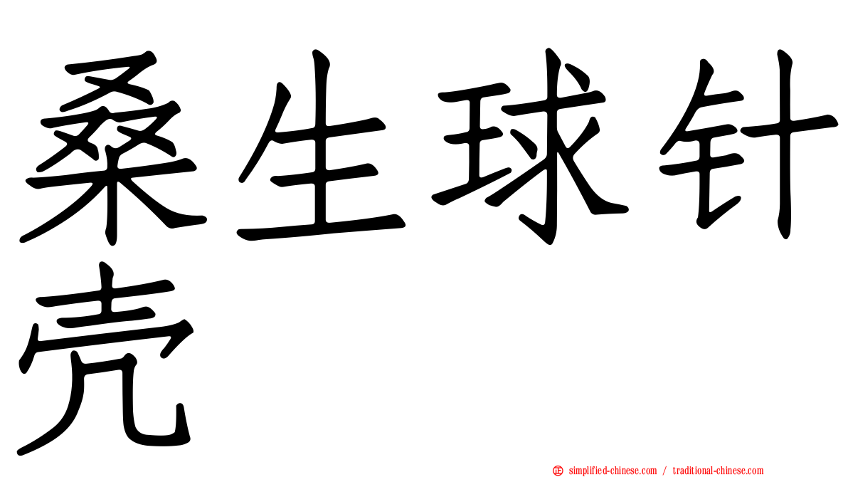 桑生球针壳