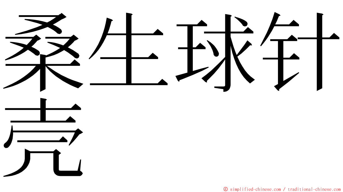 桑生球针壳 ming font