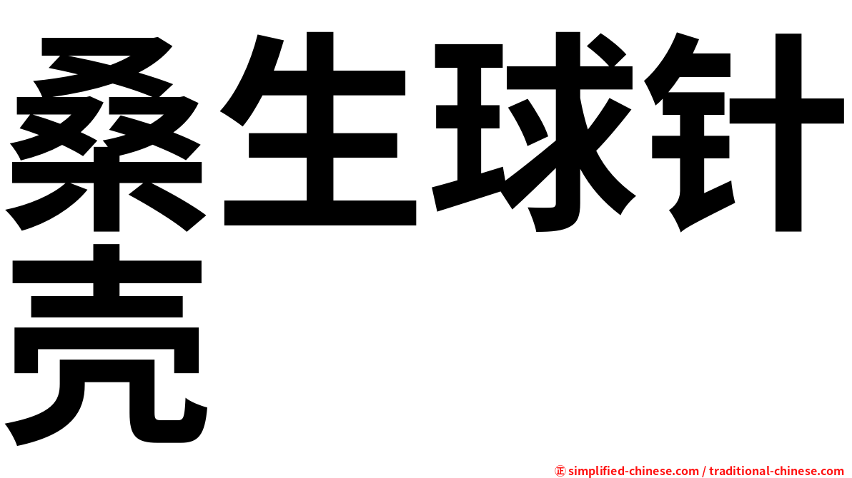 桑生球针壳
