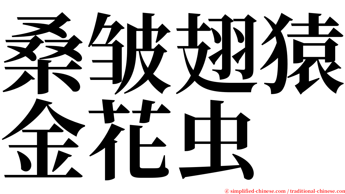 桑皱翅猿金花虫 serif font