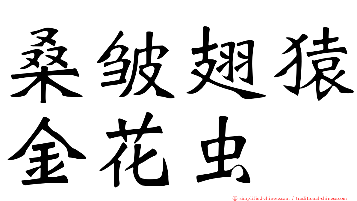 桑皱翅猿金花虫