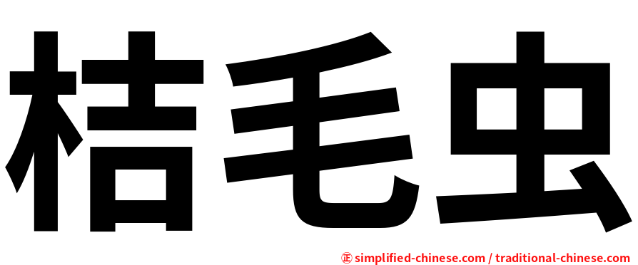 桔毛虫