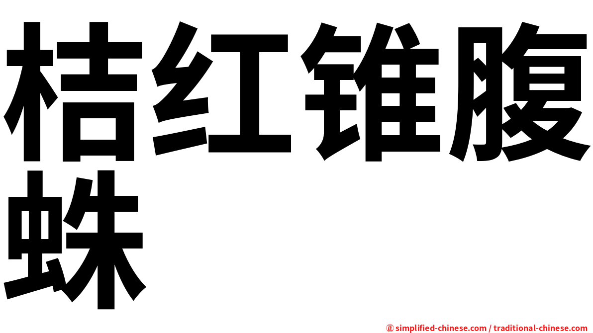 桔红锥腹蛛