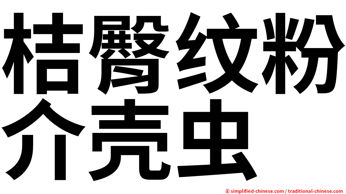 桔臀纹粉介壳虫