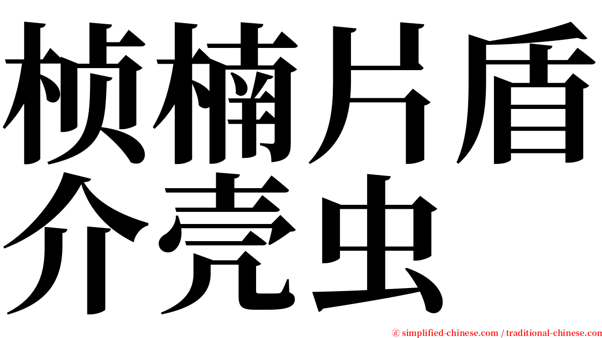 桢楠片盾介壳虫 serif font