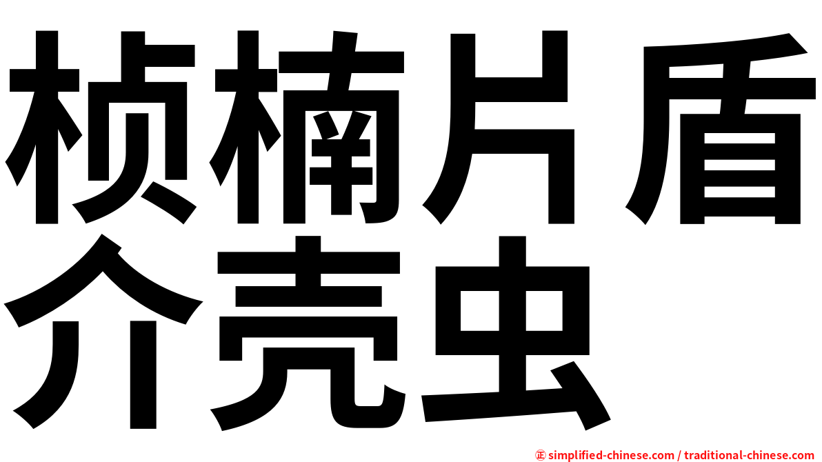 桢楠片盾介壳虫