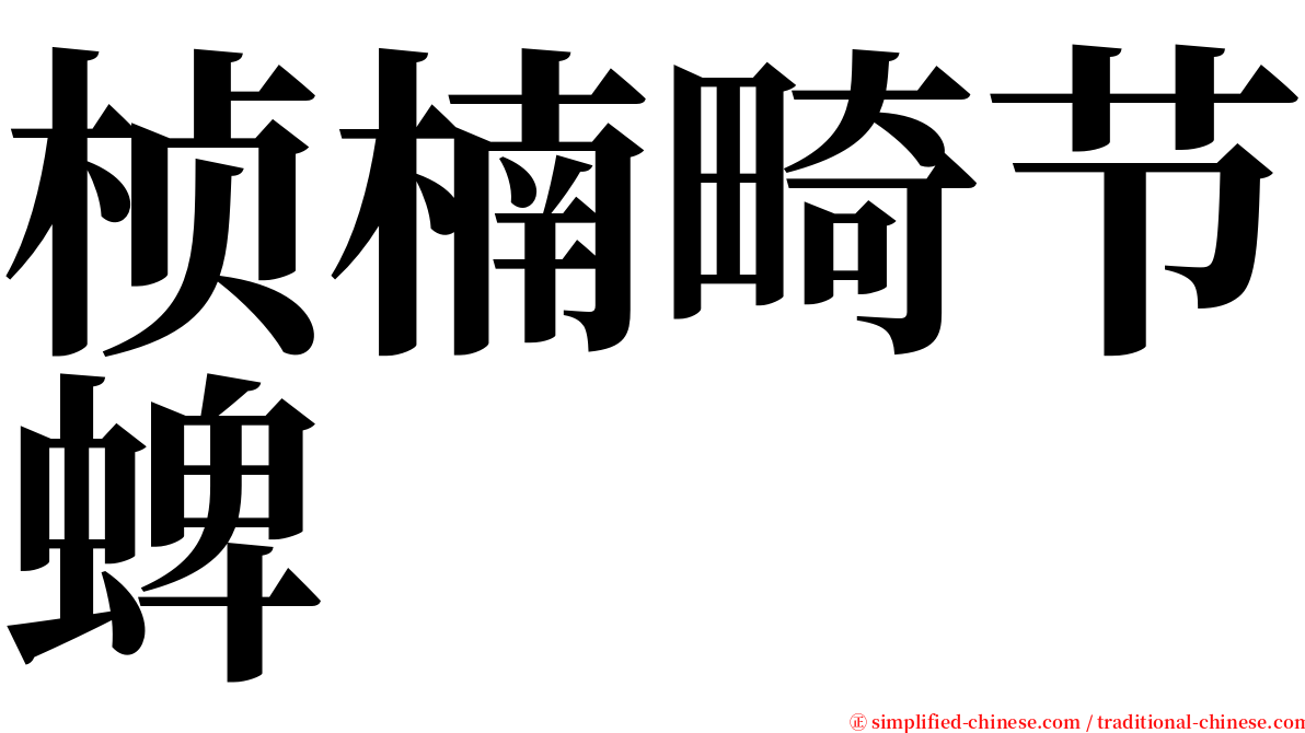 桢楠畸节蜱 serif font