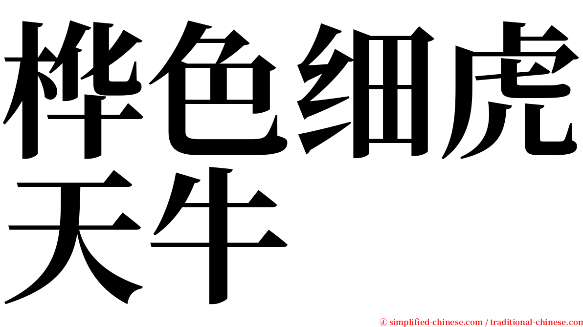 桦色细虎天牛 serif font