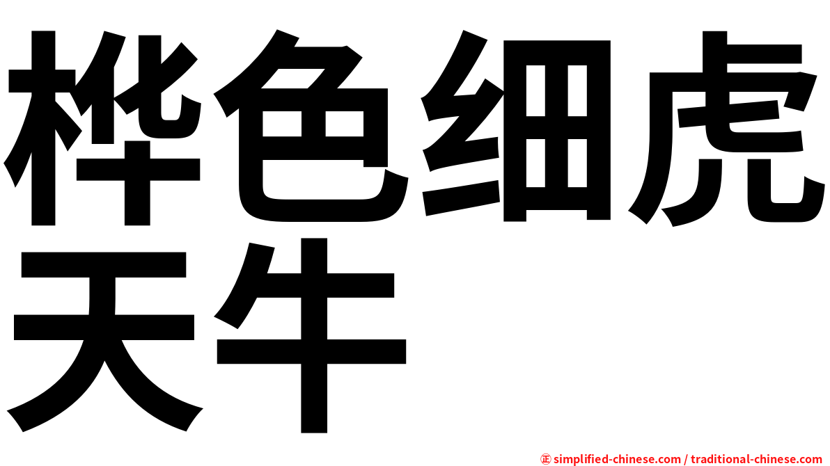 桦色细虎天牛