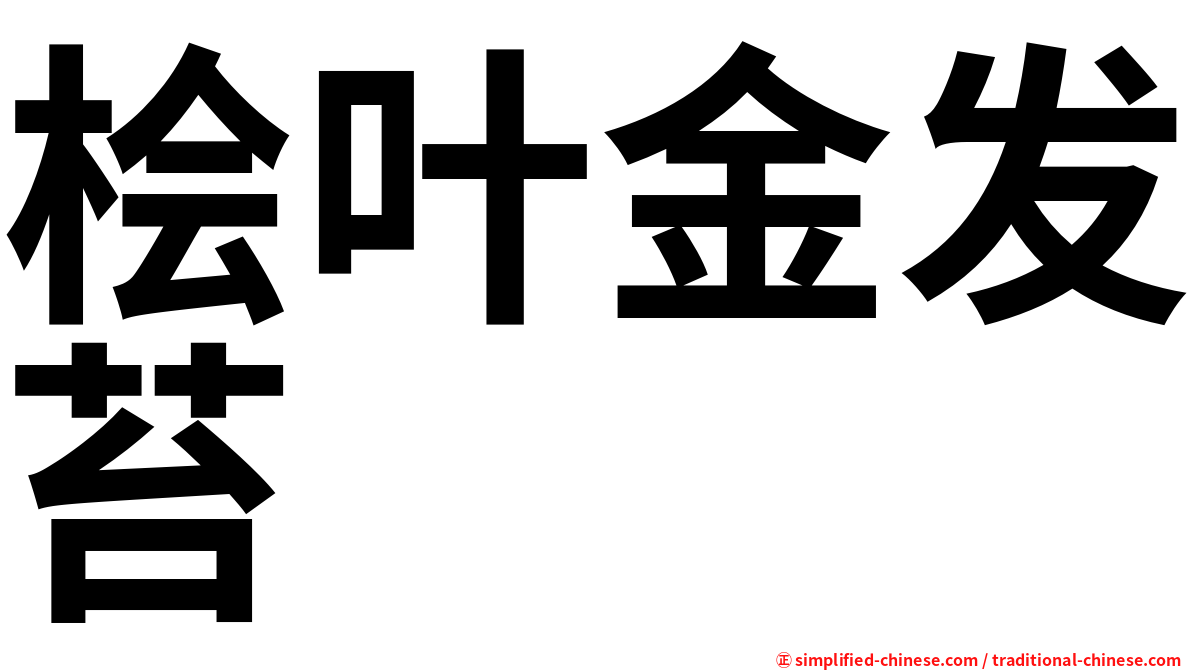 桧叶金发苔