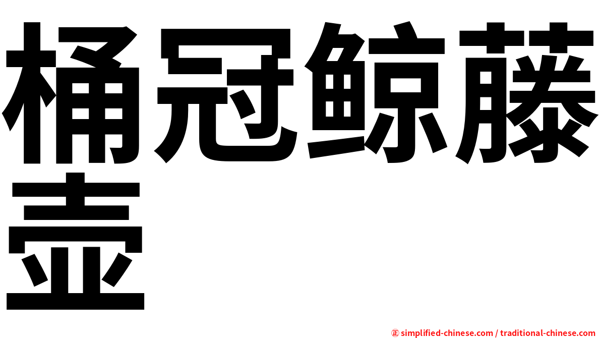 桶冠鲸藤壶