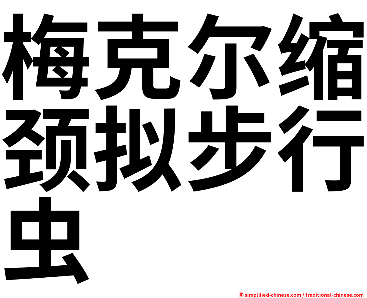 梅克尔缩颈拟步行虫