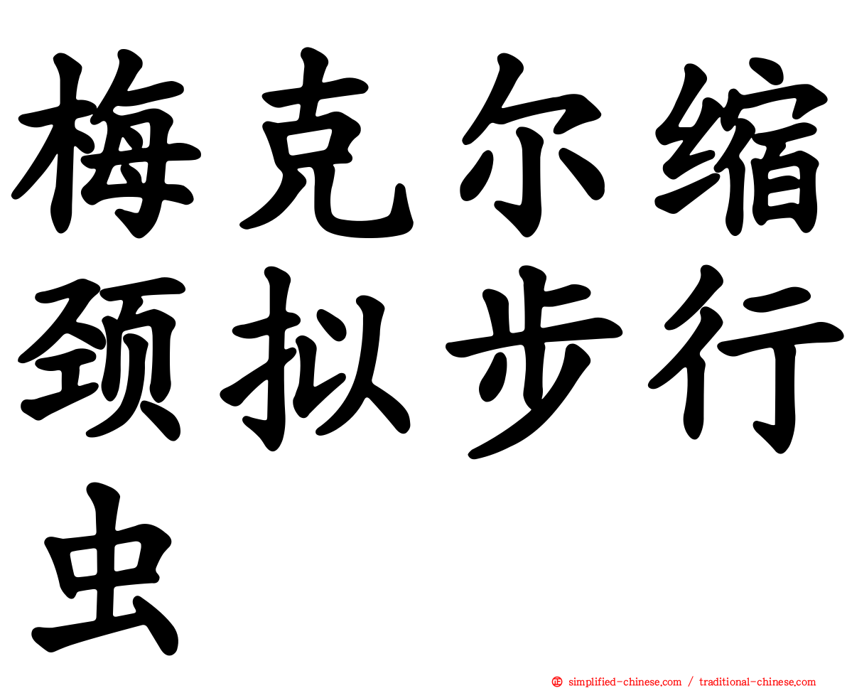 梅克尔缩颈拟步行虫