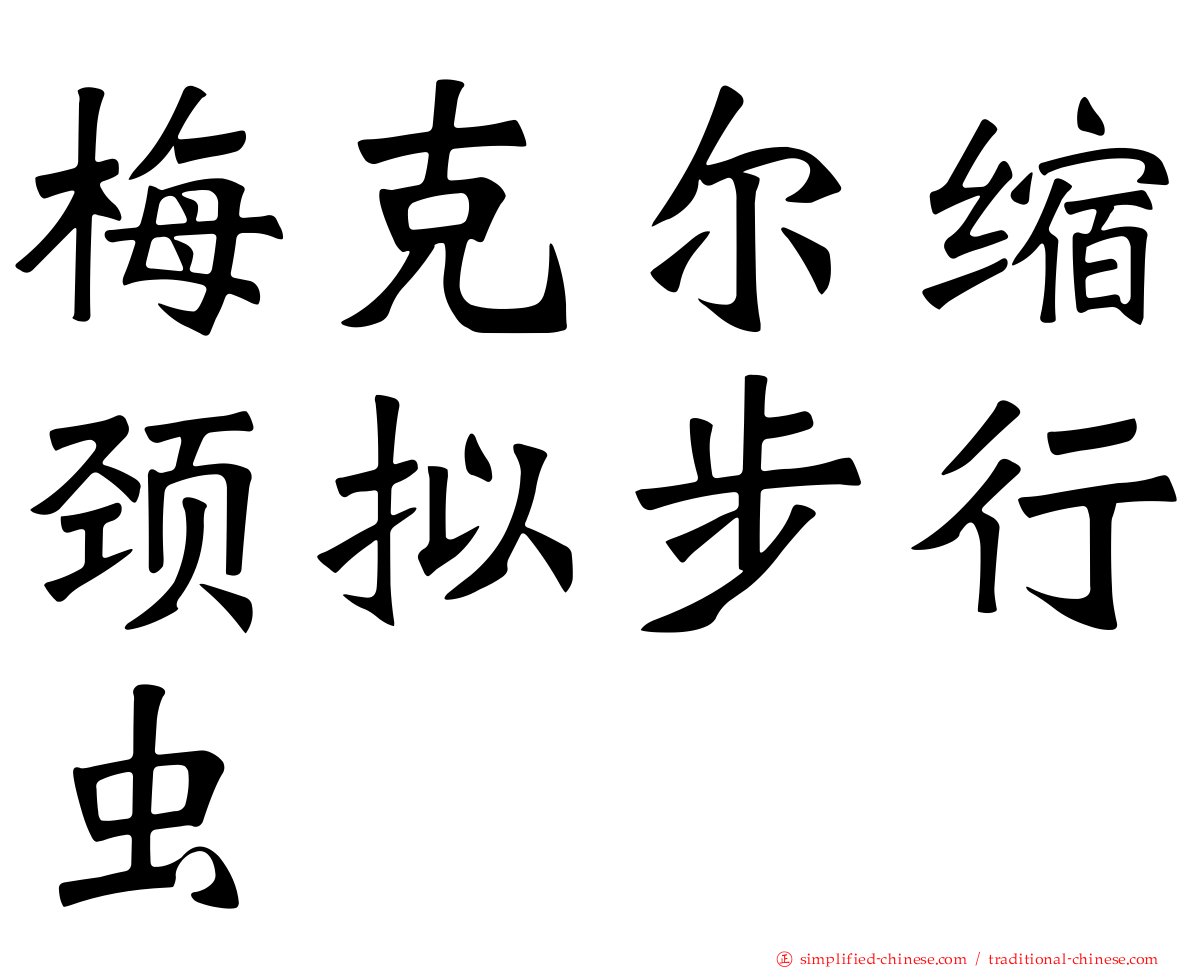 梅克尔缩颈拟步行虫
