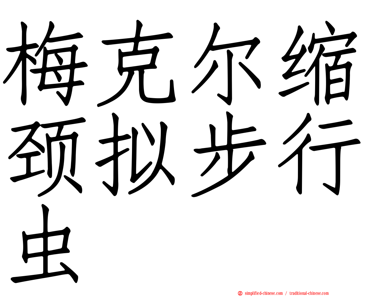 梅克尔缩颈拟步行虫