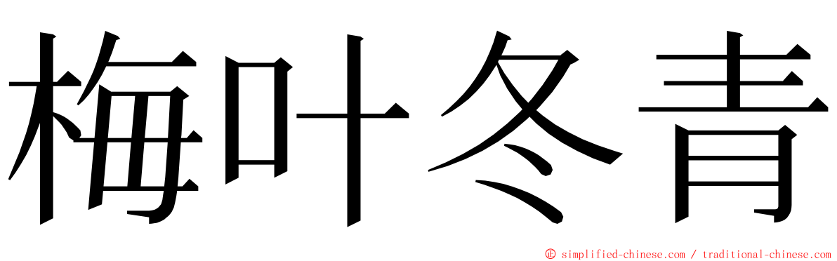 梅叶冬青 ming font