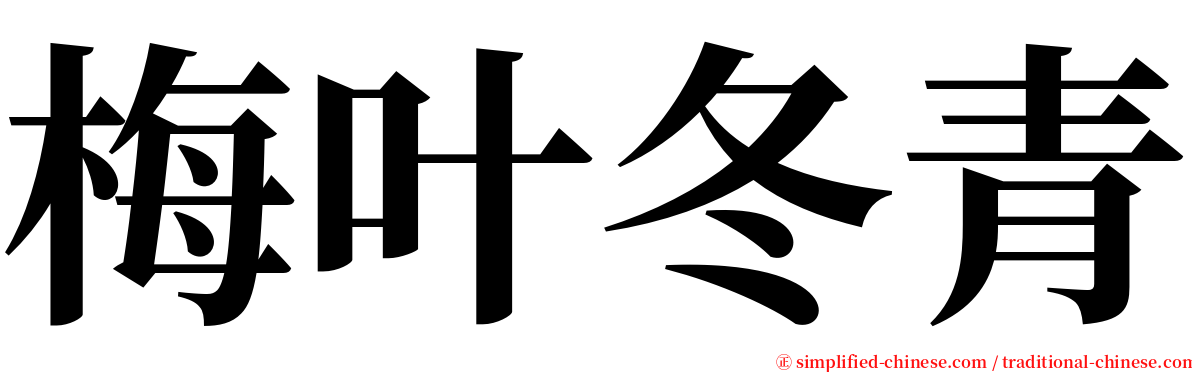 梅叶冬青 serif font