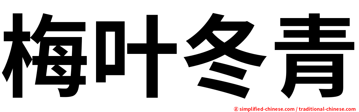 梅叶冬青