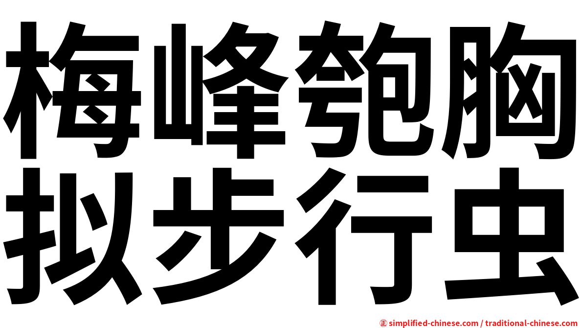 梅峰匏胸拟步行虫