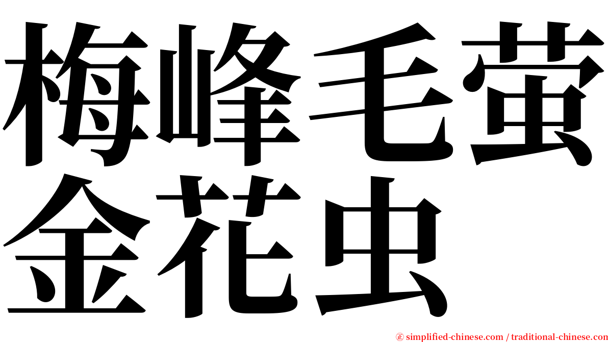 梅峰毛萤金花虫 serif font
