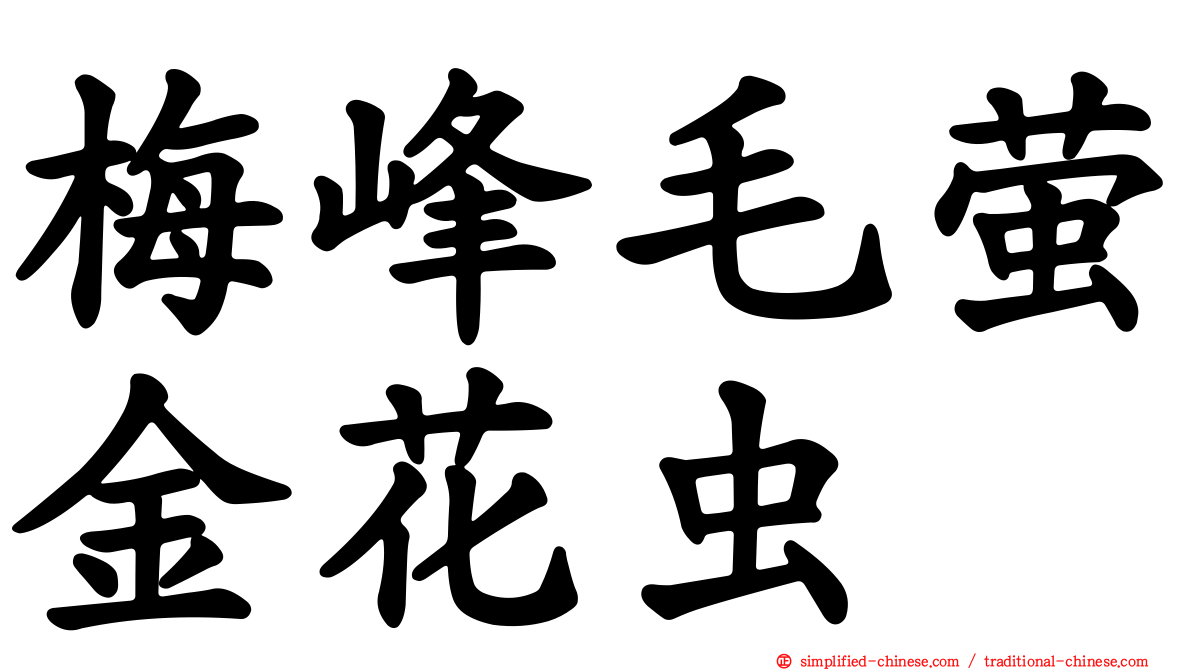 梅峰毛萤金花虫