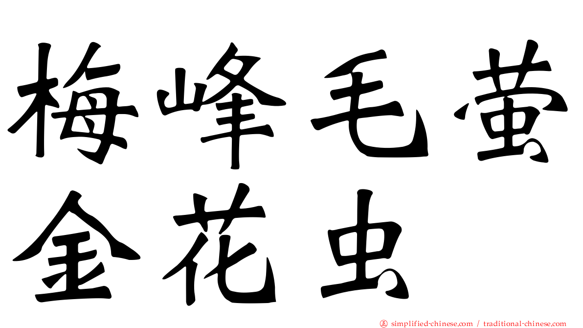梅峰毛萤金花虫