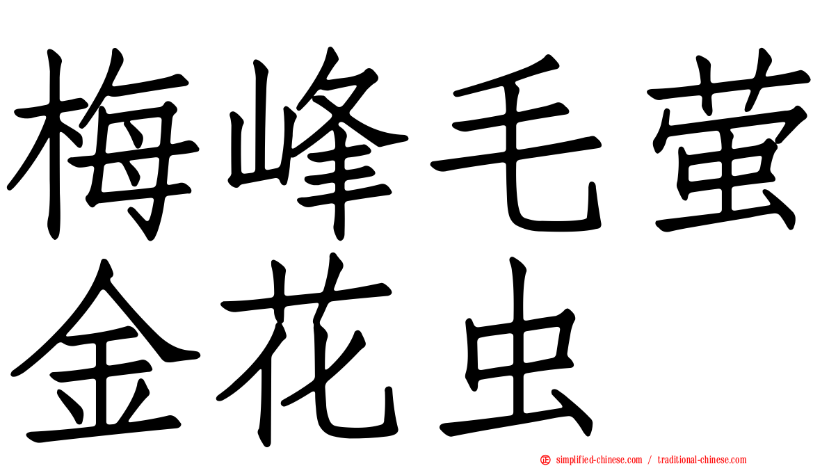 梅峰毛萤金花虫