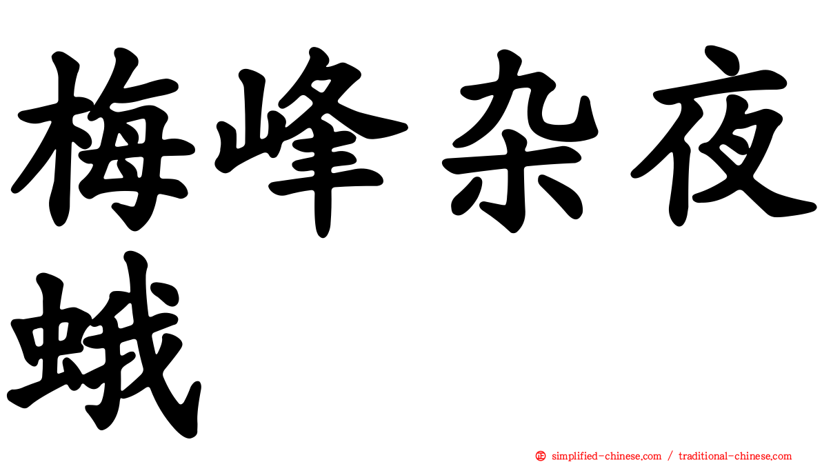 梅峰杂夜蛾