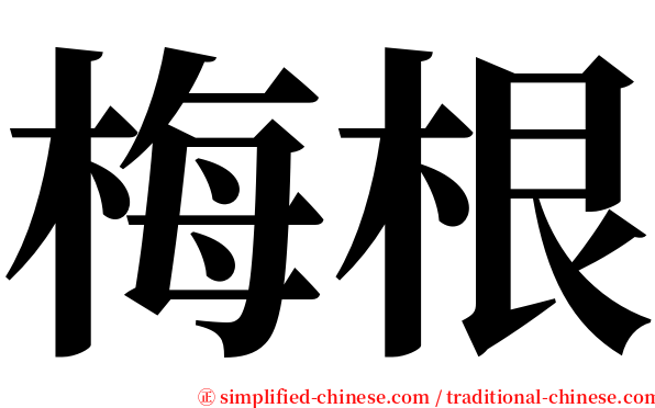 梅根 serif font