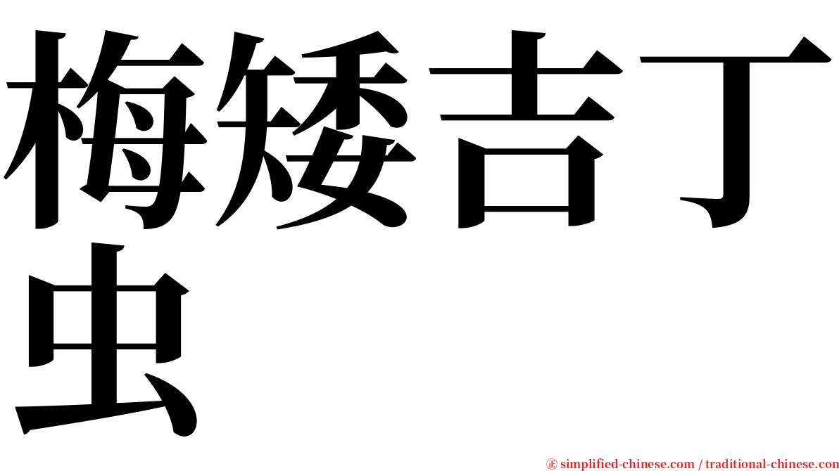 梅矮吉丁虫 serif font