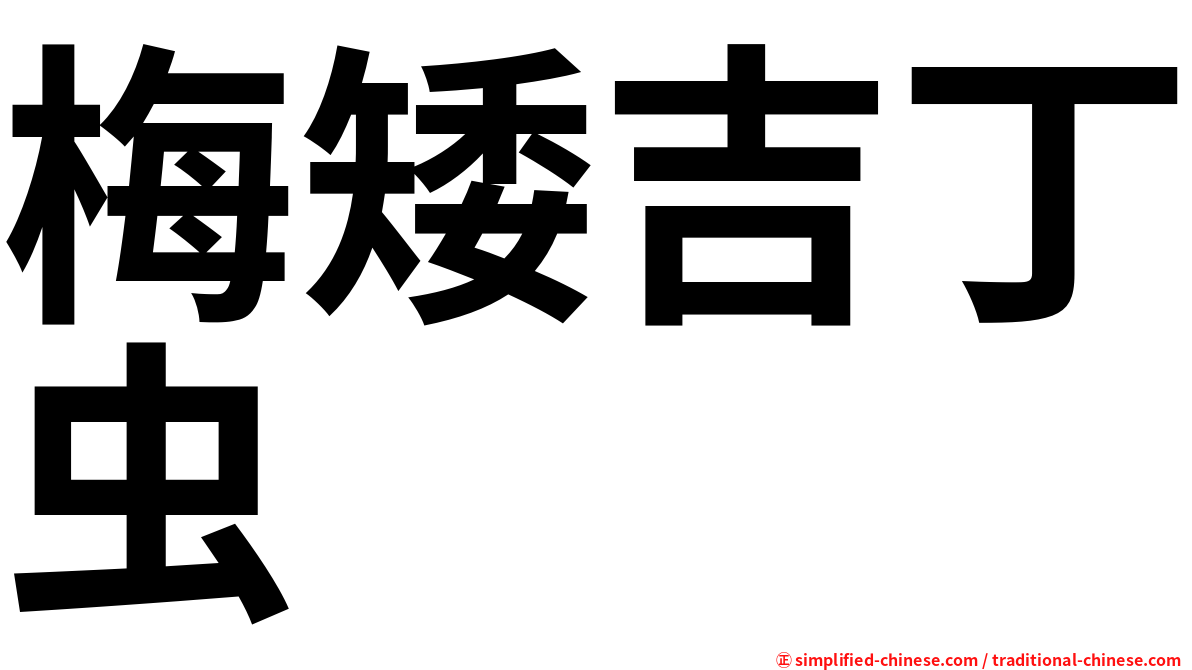 梅矮吉丁虫
