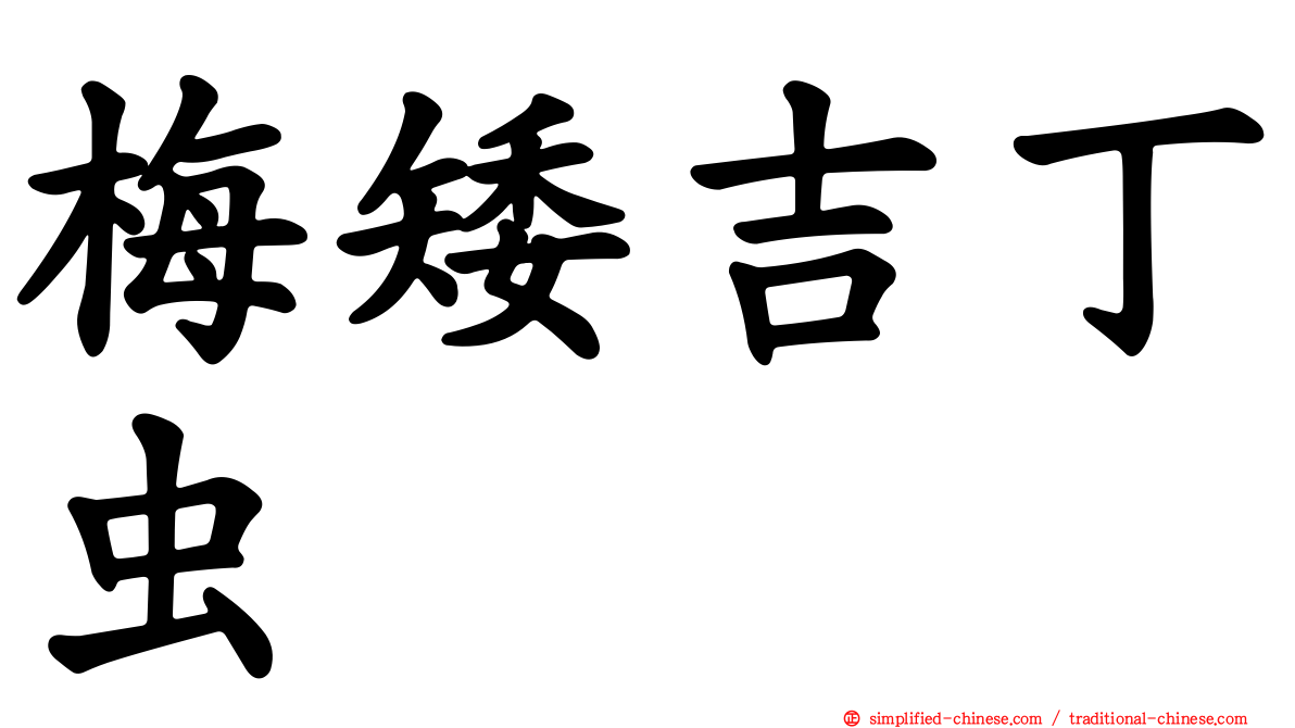 梅矮吉丁虫