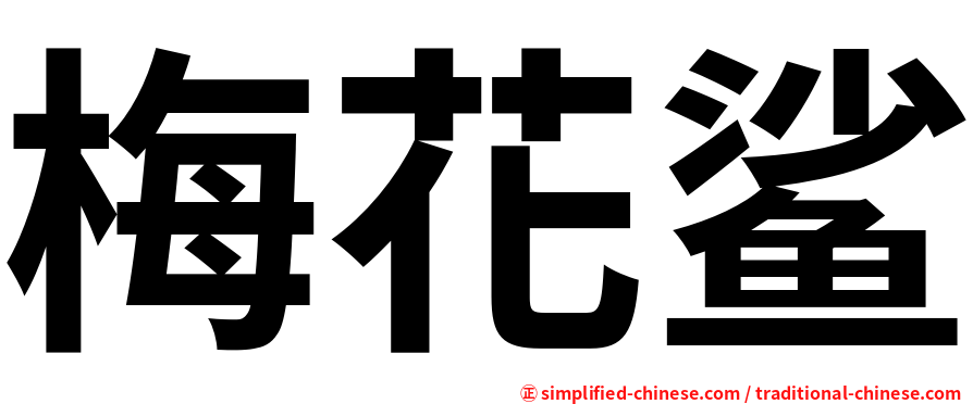 梅花鲨