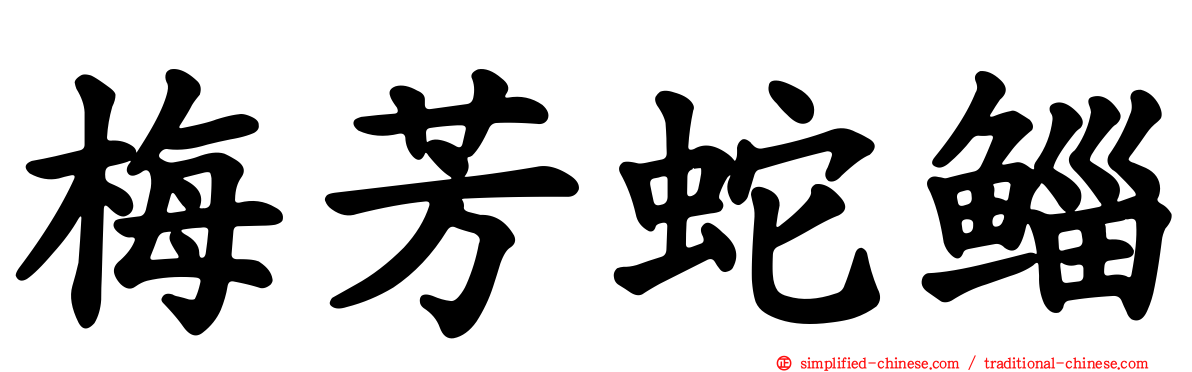 梅芳蛇鲻