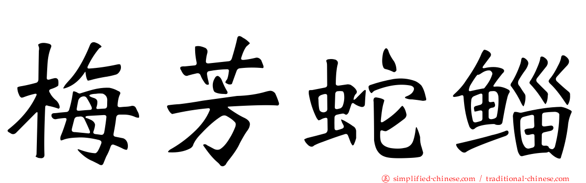 梅芳蛇鲻